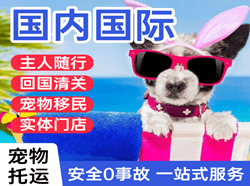 乌兰察布集宁航空运输国际宠物托运 【国